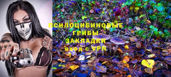 индика Михайлов