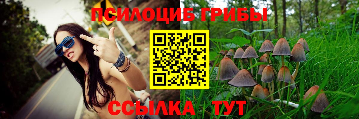 Краснодар  Псилоцибиновые грибы MAGIC MUSHROOMS  Вход с VPN 